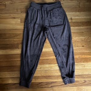 Express Velour Cuffed Sweatpants
